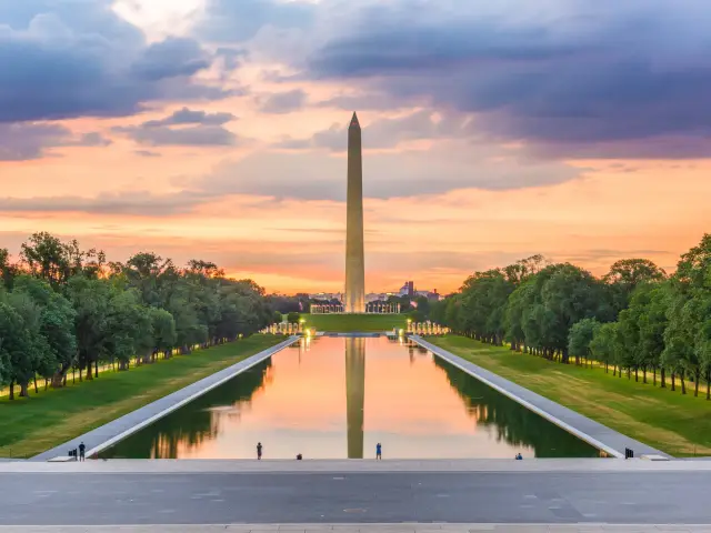Washington D.C.